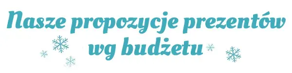 Propozycje prezentów wg budżetu: