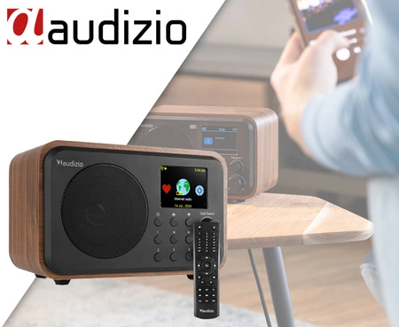 Radio internetowe WIFI/DAB+/radio FM akumulator Vicenza Audizio brązowe