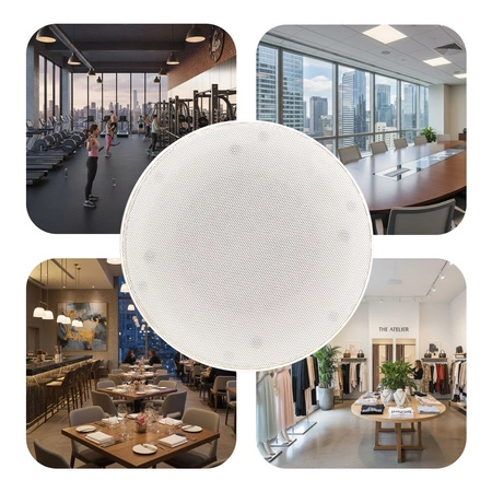 Głośnik sufitowy 6,5" 30W 8Ohm AP838 Audioport