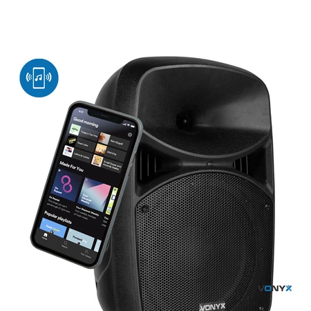 Zestaw nagłośnieniowy Plug&Play 600W Vonyx VPS102A