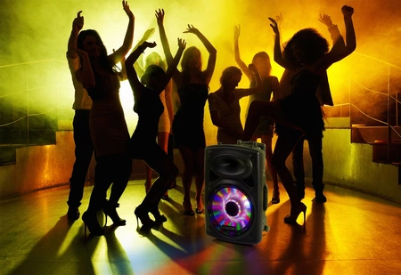 Kolumna mobilna z mikrofonem 250W Fenton FPS12