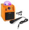 Głośnik bluetooth karaoke Vonyx SBS50L BT efekt LED