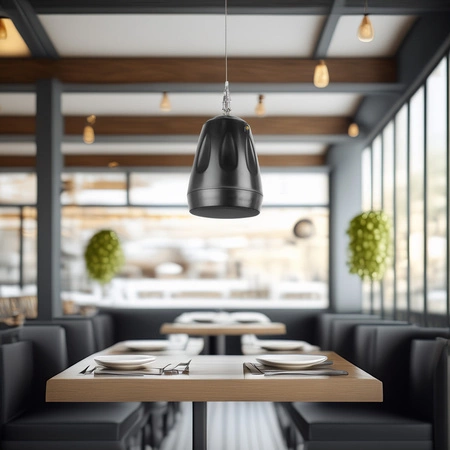 Głośnik wiszący 5,5'' 1szt 30W/100V AW32-B czarny Audioport