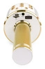 Mikrofon karaoke z głośnikami BT MP3 MAX efekt LED złoty