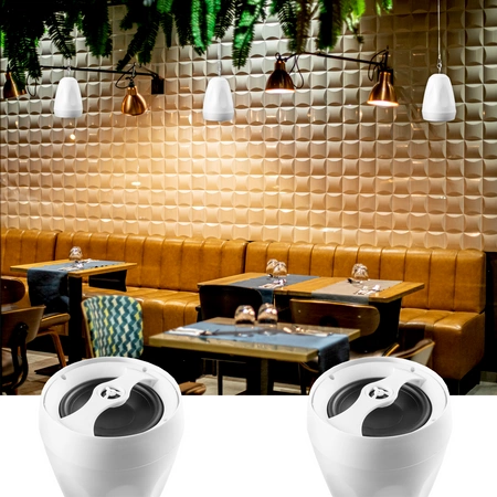 Głośnik wiszący 100V 6,5” biały PDS65W Power dynamics