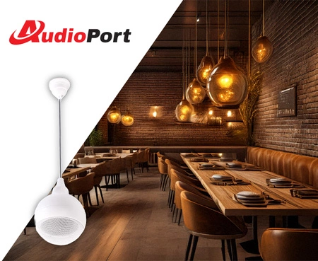 Głośnik wiszący 15W/100V AW15-W biały Audioport