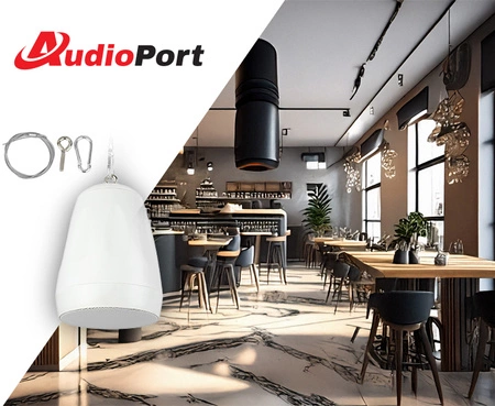 Głośnik wiszący 5,5''1szt 30W/100V AW32-W biały Audioport