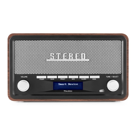 Przenośne radio Audizio Foggia stereo z budzikiem DAB+ FM- 50W - Szary