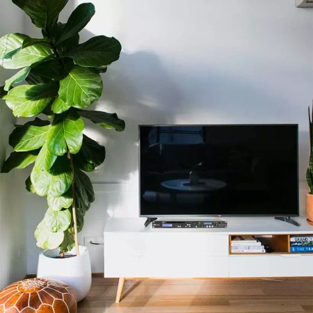 Odtwarzacz cyfrowy CD USB SD PDC-35 PD