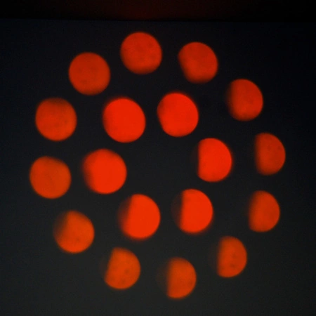 Zestaw: 4x Głowa ruchoma LB200 Beam 200W LED Lucendi+ dedykowane case