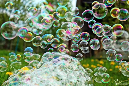 Wytwornica baniek mydlanych BeamZ B500 LED RGB+ płyn do baniek 5L