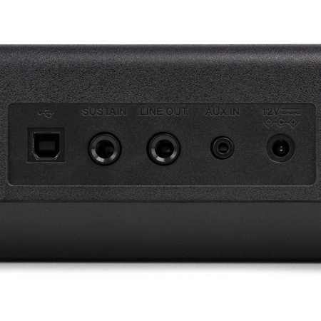 Zestaw: Pianino cyfrowe ważone pełnowymiarowe 88-klawiszowe RhapsodyDP88P Max + statyw+ ławka