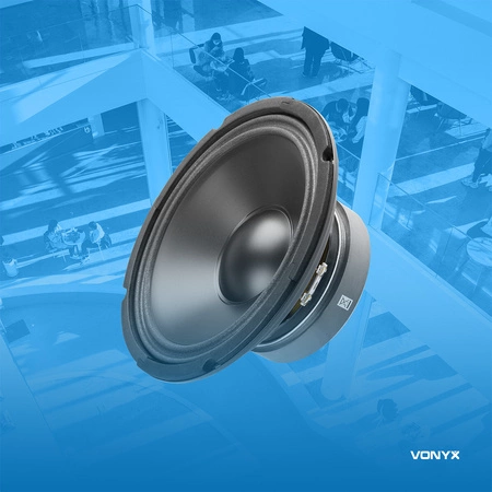 Głośnik niskotonowy Hi-Fi 8'' 250W 8 Ohm WP20 Fenton