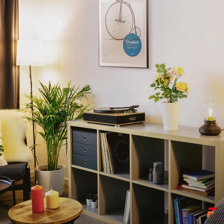 Gramofon RP162LW Fenton HQ BT jasne drewno