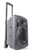 Kolumna mobilna Ibiza PORT8UHF-BT
