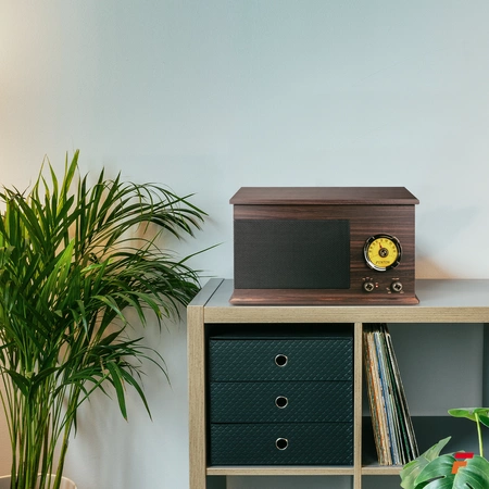 Gramofon RP173 Fenton Vintage USB BT FM brązowy+ winyl gratis