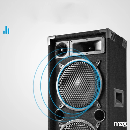 Kolumna pasywna 2x 10'' 1000W Max MAX210