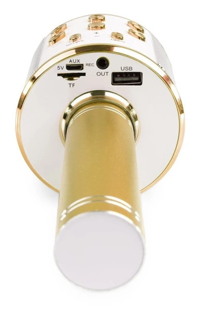 Mikrofon karaoke z głośnikami BT MP3 MAX efekt LED złoty