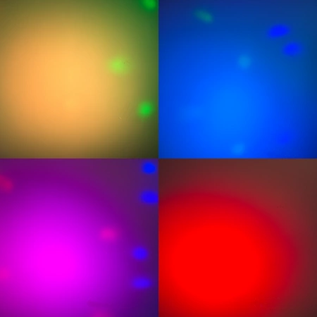 Zestaw oświetleniowy efekt świetlny DerbyStar1 LED Fuzzix