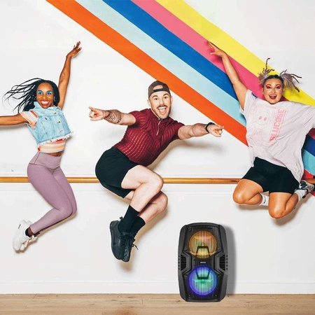 Głośnik mobilny Fenton 2x 10" FT210LED, zestaw karaoke z Bluetooth - 700W