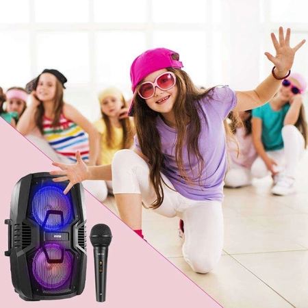 Głośnik mobilny Fenton 2x 10" FT210LED, zestaw karaoke z Bluetooth - 700W