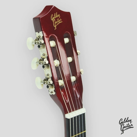 Zestaw: Gitara klasyczna 4/4 38" kolor naturalny GK38NAT Golden Guitar+ pokrowiec+ tuner+ struny+ kostki