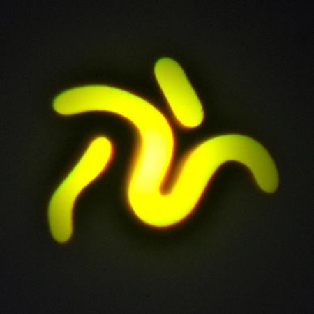 Głowa ruchoma BEAM230 lampa wyładowcza 7R 230W Lucendi