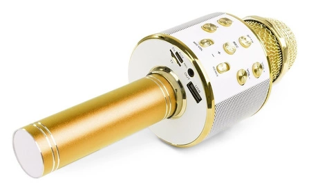Mikrofon karaoke z głośnikami BT MP3 MAX efekt LED złoty