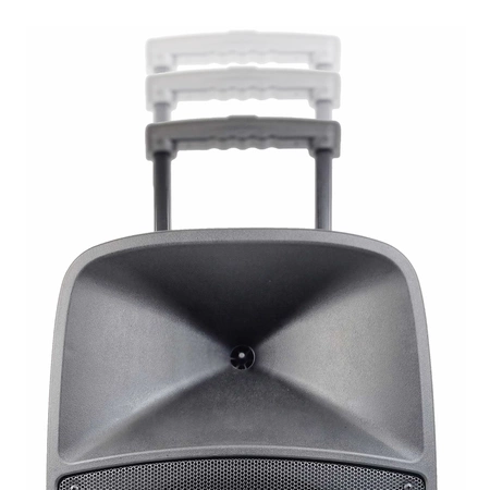 Kolumna mobilna Party Light&Sound PARTY-15LED