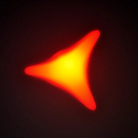 Zestaw: 2 głowy ruchome BEAM230 + Case