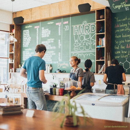 Kolumny instalacyjne 150W Power Dynamics BD65B