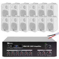 Zestaw białych głośników do muzyki w tle 12 x 4" BV40W 100V z wzmacniaczem bluetooth