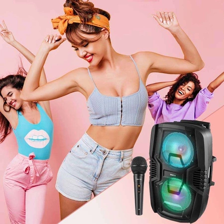 Głośnik mobilny Fenton 2x 10" FT210LED, zestaw karaoke z Bluetooth - 700W