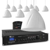 Zestaw białych głośników wiszących 10 x 5.25" PDS40W z wzmacniaczem