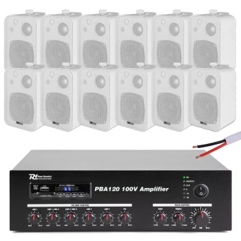 Zestaw białych głośników do muzyki w tle 12 x 4" BV40W 100V z wzmacniaczem bluetooth