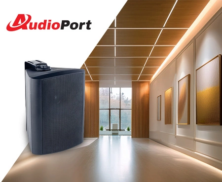 Kolumna ścienna 4'' 20W/ 100V AK20-B czarna Audioport