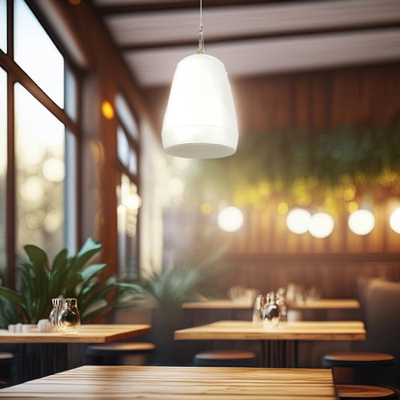 Głośnik wiszący 5,5''1szt 30W/100V AW32-W biały Audioport