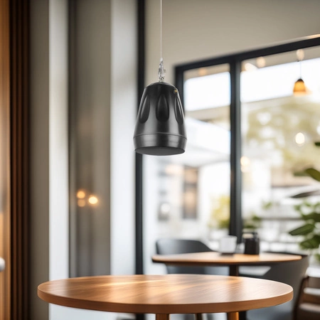 Głośnik wiszący 5,5'' 1szt 30W/100V AW32-B czarny Audioport