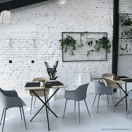 Głośnik 1szt BD50TW wewnętrzny / zewnętrzny do montażu na ścianie 5" 30W IP65/100V WH