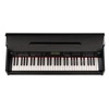 Pianino cyfrowe 61-klawiszowe ze statywem RhapsodyDP61 Max