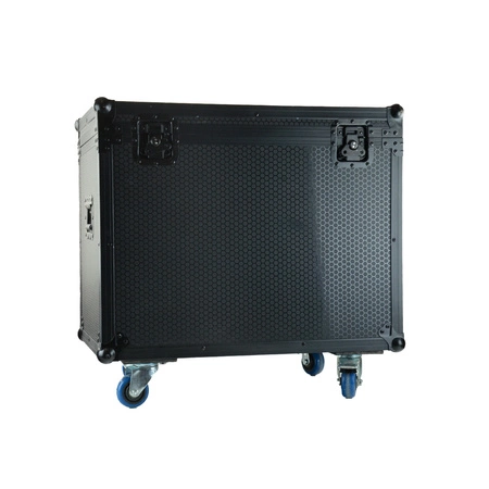 Zestaw: 2 głowy ruchome BEAM230 + Case