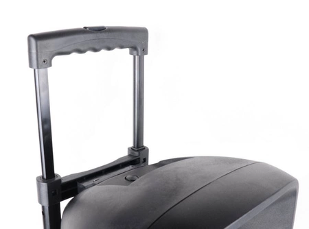 Kolumna mobilna z mikrofonem 300W Party Light&Sound PARTY-8LED