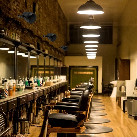 Głośnik wiszący 100V 6,5” czarny PDS65B Power dynamics