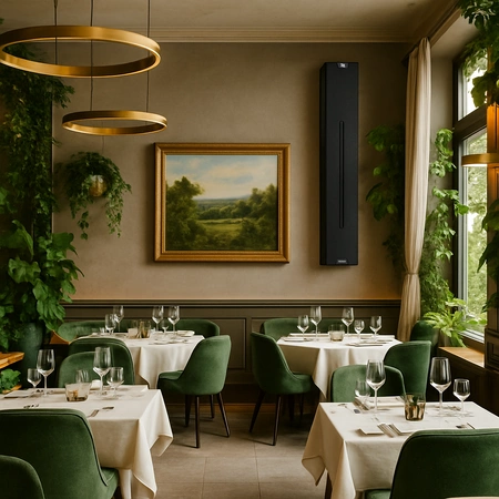 Głośnik kolumnowy 100V Power Dynamics czarny