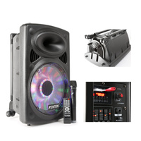 Kolumna mobilna z mikrofonem 250W Fenton FPS12