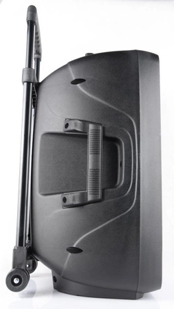 Kolumna mobilna Party Light&Sound PARTY-12LED