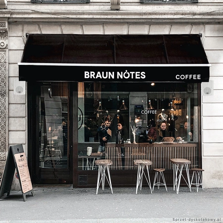 Kolumny instalacyjne dwudrożne 100W SkyTec - para, kolor biały