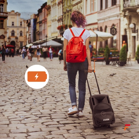 Kolumna mobilna z mikrofonem Fenton FT10LED 10 " 450W bluetooth