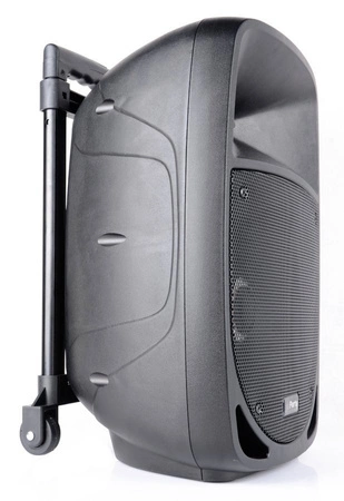 Kolumna mobilna z mikrofonem 300W Party Light&Sound PARTY-8LED