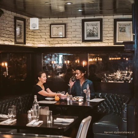 Kolumny instalacyjne dwudrożne 100W SkyTec - para, kolor biały